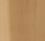 Green_Tulip_Veneer_GTU02.jpg