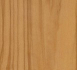 True_Olive_Veneer_OL13.jpg